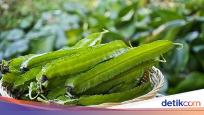 5 Khasiat Sayuran Kecipir Sebagai Vitalitas dan Stamina Pria