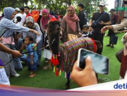 Parade Hewan Samudra Ancol Meriahkan Libur Lebaran