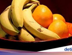 Sarapan Pisang atau Jeruk? Ini Perbedaan Efek Energinya Ke Tubuh