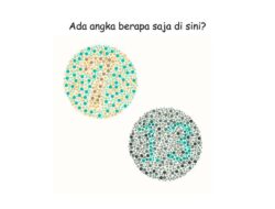 Picingkan Mata, Angka Berapa yang Terlihat?