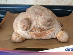 Ekspektasi vs Realita! 10 Kegagalan Baking yang Hasilnya Bikin Ngakak