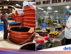 Krisis Saus Ikan! Kelangkaan Ikan Teri Ancam Warisan Citarasa Tradisional