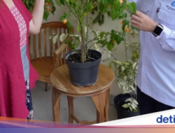 Keseruan Mgdalenaf Ajak Teman-teman Food Vlogger Cicip ‘Cabai Magda IPB’