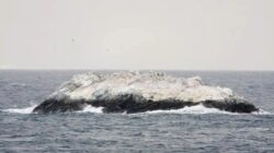 Pulau Misterius Ditemukan Di Zona Berbahaya Antartika