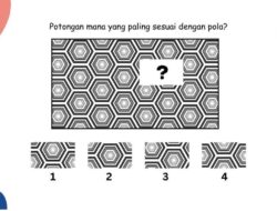 Kalau Sabar dan Teliti Pasti Bisa, Coba Temukan Potongan Puzzle yang Hilang