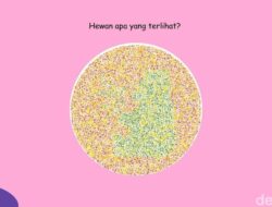 Tak Semua Orang Bisa Temukan Panda Ke Gambar Ini, Ada yang Lihat Ikan Sapu-sapu?