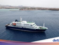 Wabah Patogen Hanta Di MV Hondius, Kepala Tersentuh Solidaritas Kru-Penumpang