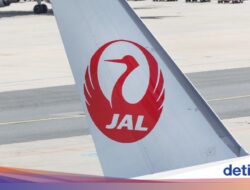 Gegara Kru Minum Alkohol Sebelumnya Terbang, Japan Airlines Diusut