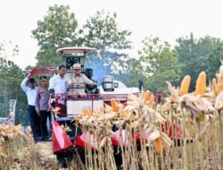 Momen Prabowo Panen Raya Jagung Di Tuban, Naiki Alat Berat hingga Pakai Penutupkepala Koboi