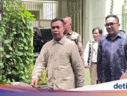 Di Jokowi Ditawari Main Layar Lebar Dayak dan Diundang Ke Peristiwa Adat