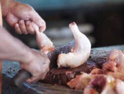 Disentil Prabowo, Begini Hitungan Gizi Ayam MBG Jika Dipotong Lebih Untuk 14