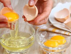 Ini Deretan Minuman Terbaik Sebagai Jaga Fungsi Ginjal, Bisa Cegah Cuci Darah