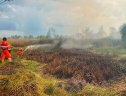 Karhutla Landa Tiga Lokasi, Terparah Ke Banjarbaru Kalsel