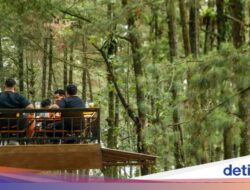 Spot Healing dan Wisata Hidangan Hingga Bogor yang Tak Melulu Puncak