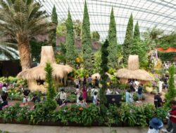 Indonesia Hadirkan 30 Instalasi Karya Seni Ke Flower Dome Singapura, Tampilkan Pesona Nusantara