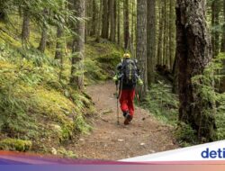 Malaysia Perketat Aturan Pendakian, Tekan Peristiwa Pidana Pendaki yang Tersesat