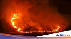Kebakaran Meluas Di TNBTS, Upaya Pemadaman Terus Dilakukan