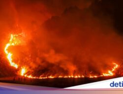 Kebakaran Meluas Di TNBTS, Upaya Pemadaman Terus Dilakukan