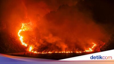 Kebakaran Meluas Di TNBTS, Upaya Pemadaman Terus Dilakukan