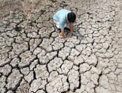 El Nino Super Kembali Sesudah 11 Tahun, Kekeringan Hebat Akansegera Menyapu Asosiasinegara-Negaraasiatenggara