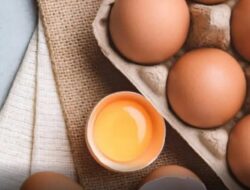 IDAI Jelaskan Bahaya Telur Mentah Untuk Bayi, Ungkap Risiko Gangguan Menyebar Salmonella
